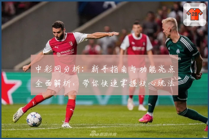 中彩网分析：新手指南与功能亮点全面解析，带你快速掌握核心玩法技巧