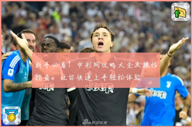 新手必看!中彩网攻略大全及操作指南,让你快速上手轻松体验