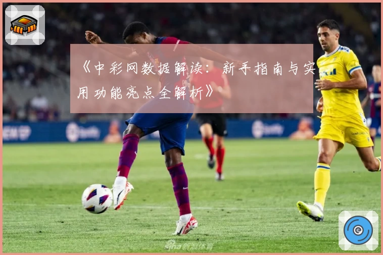 《中彩网数据解读：新手指南与实用功能亮点全解析》