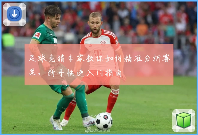 足球竞猜专家教你如何精准分析赛果，新手快速入门指南