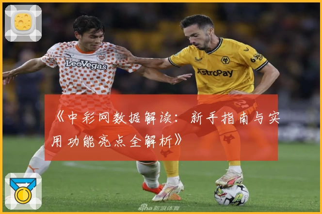 《中彩网数据解读:新手指南与实用功能亮点全解析》