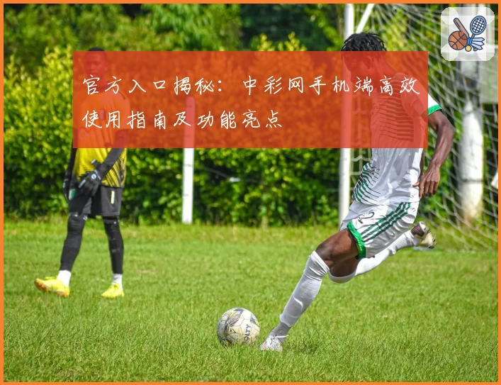 官方入口揭秘：中彩网手机端高效使用指南及功能亮点